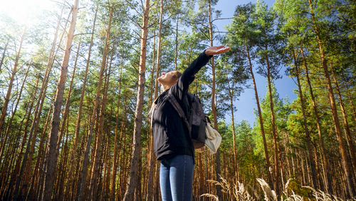 woman in nature