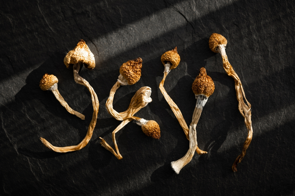 Shrooms, also called “magic mushrooms,” are a group of over 180 naturally occurring fungi that contain psilocybin, an inactive prodrug that’s quickly converted to psilocin, inducing psychoactive and hallucinogenic effects similar to lysergic acid diethylamide (LSD), mescaline, and dimethyltryptamine (DMT).